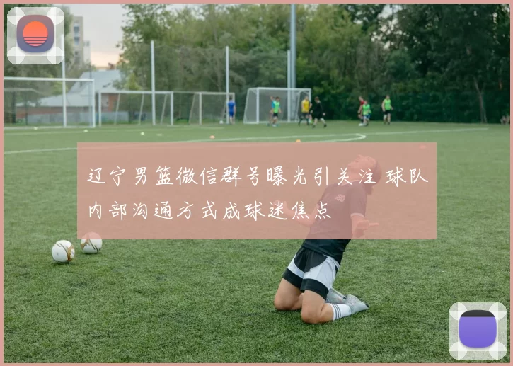 辽宁男篮微信群号曝光引关注 球队内部沟通方式成球迷焦点