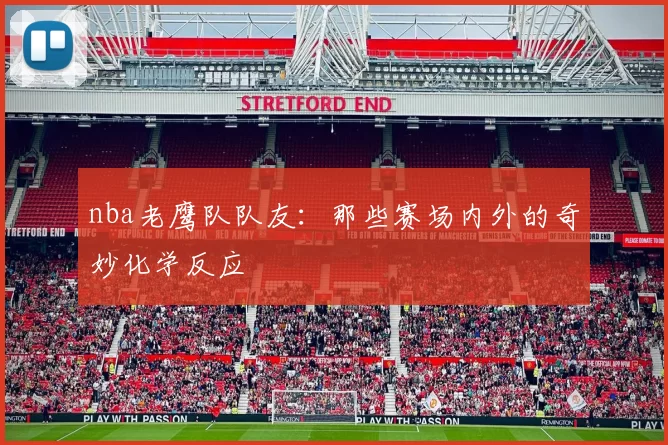 nba老鹰队队友：那些赛场内外的奇妙化学反应