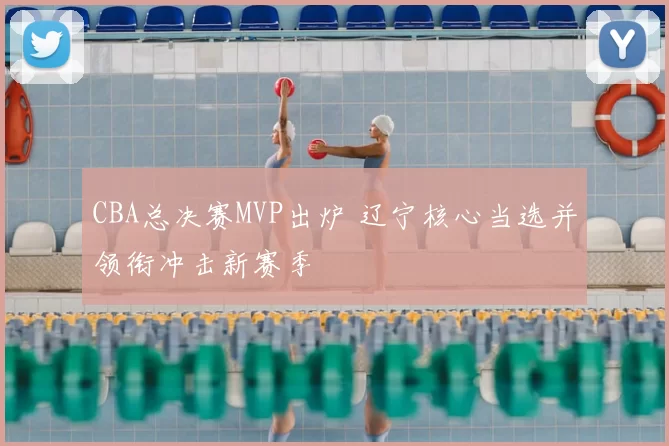 CBA总决赛MVP出炉 辽宁核心当选并领衔冲击新赛季