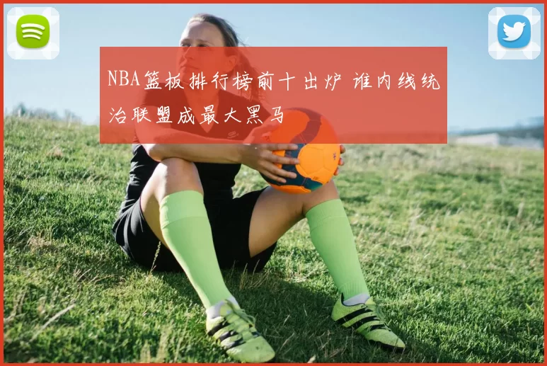 NBA篮板排行榜前十出炉 谁内线统治联盟成最大黑马
