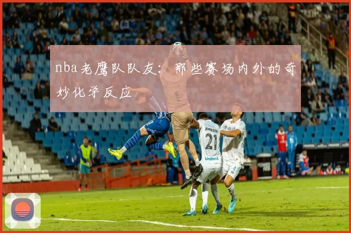 nba老鹰队队友：那些赛场内外的奇妙化学反应