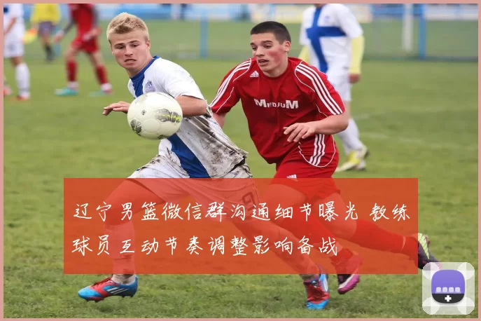 辽宁男篮微信群沟通细节曝光 教练球员互动节奏调整影响备战