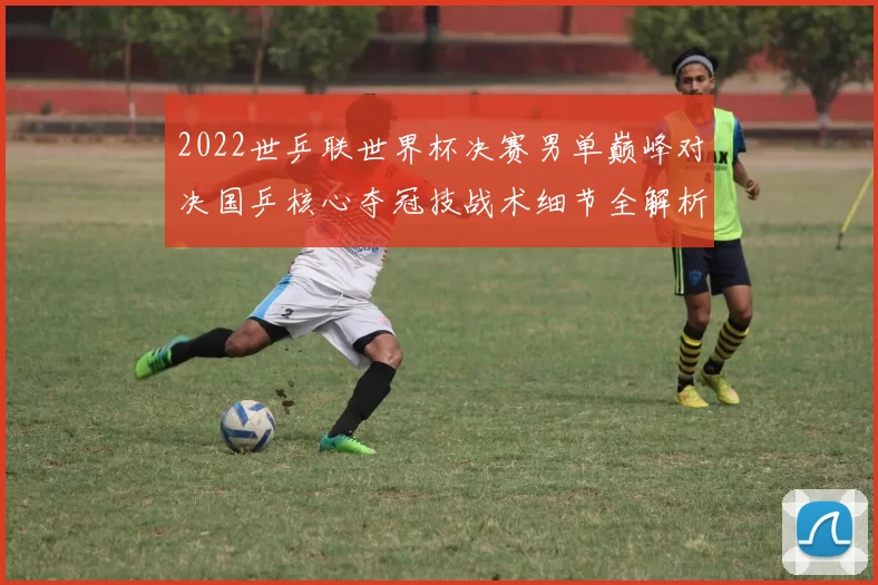 2022世乒联世界杯决赛男单巅峰对决国乒核心夺冠技战术细节全解析