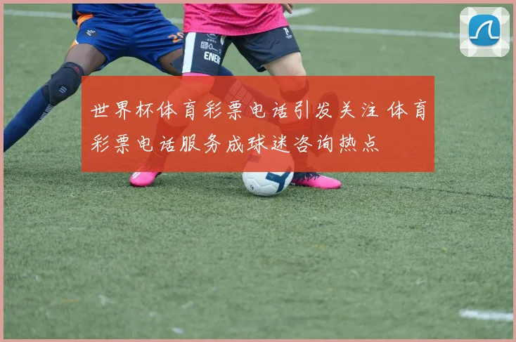 世界杯体育彩票电话引发关注 体育彩票电话服务成球迷咨询热点