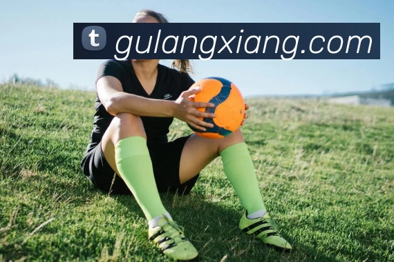 星空网页版官方入口平台生态图